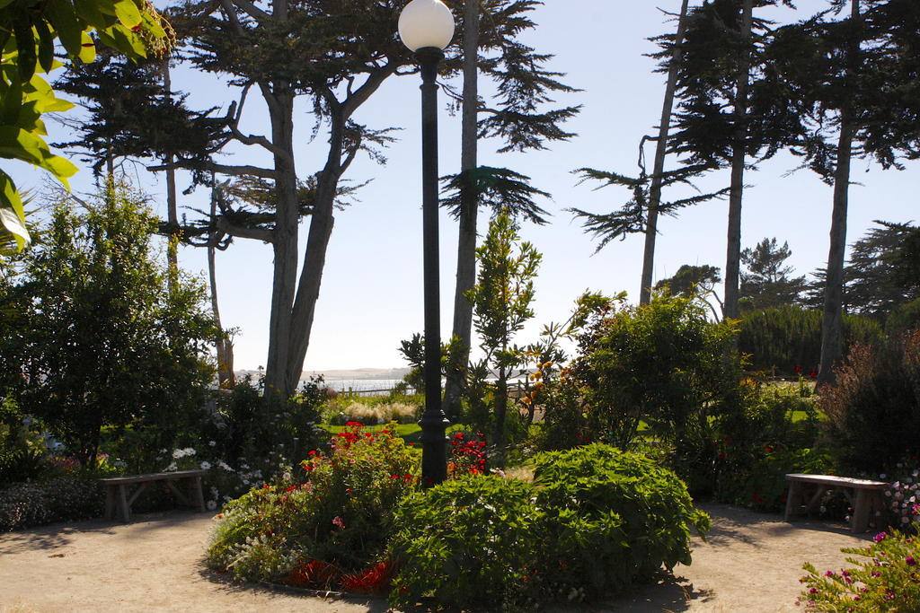 Back Bay Los Osos