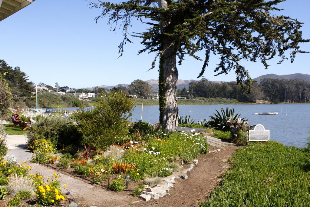 Back Bay Los Osos
